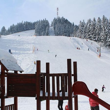 Pinewood Valley Oasis Вышне-Ружбахи Экстерьер фото