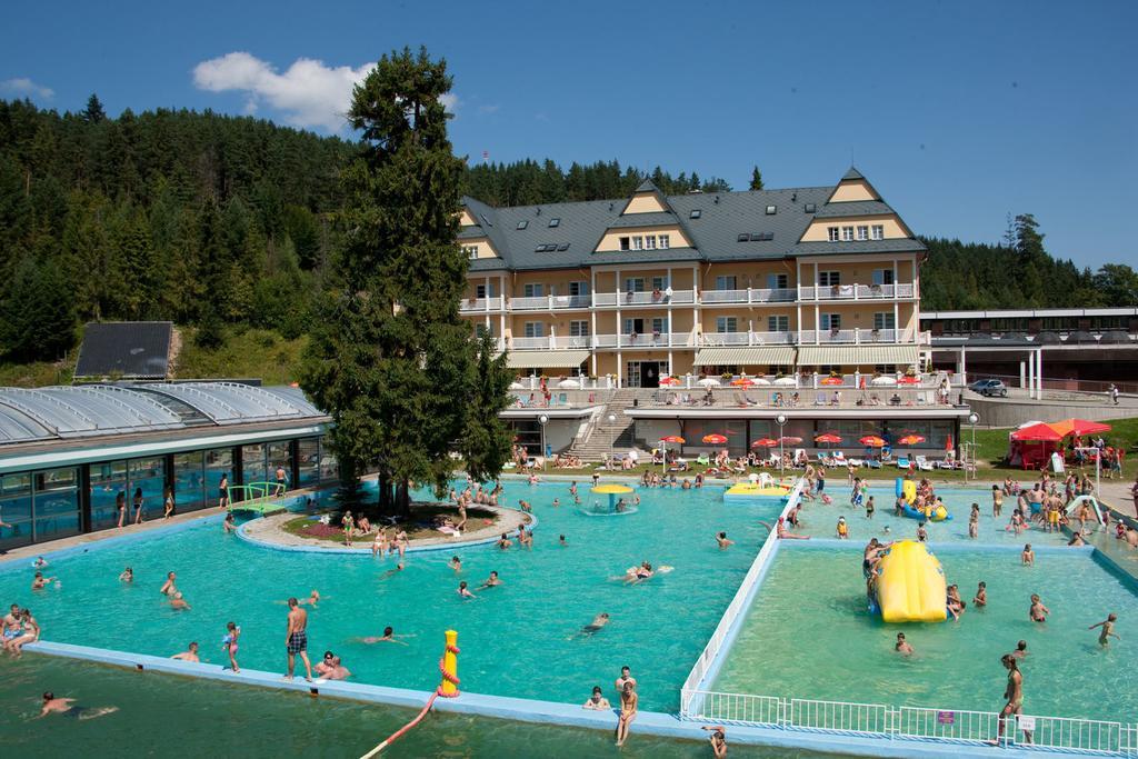 Pinewood Valley Oasis Вышне-Ружбахи Экстерьер фото