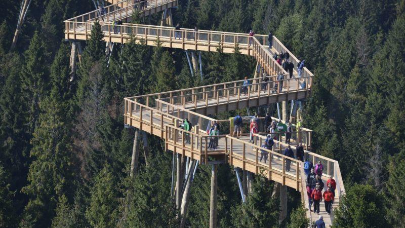 Pinewood Valley Oasis Вышне-Ружбахи Экстерьер фото